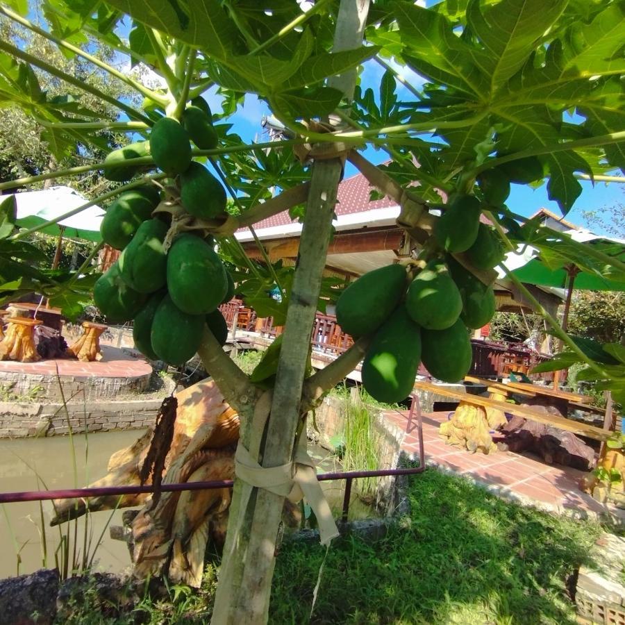 Brown House Resort 芹苴 外观 照片
